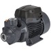 BOMBA ELECTRICA PERIFERICA PARA AGUA 3/4 HP