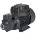 BOMBA ELECTRICA PERIFERICA PARA AGUA 1 HP